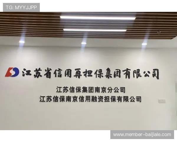 云顶4008集团的财务管理体系与风险控制机制分析