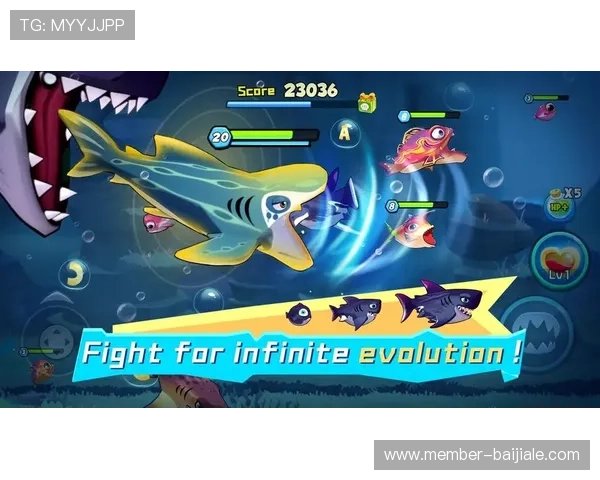 博鱼真人官方平台的特色玩法介绍，丰富多样的真人游戏满足不同玩家偏好