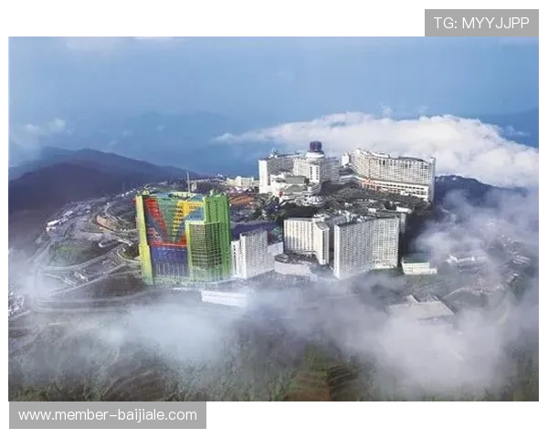 马来西亚云顶有限公司的财务状况与投资回报分析报告