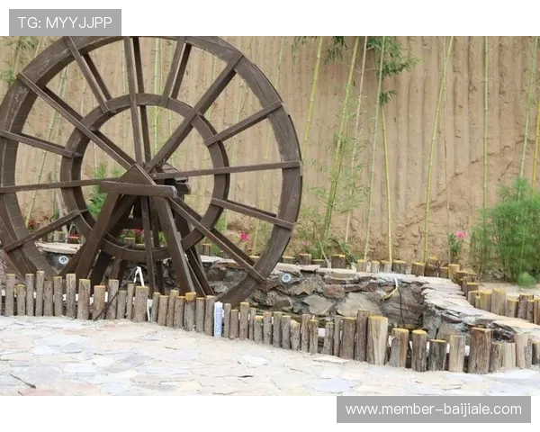 万利真人排行游戏玩家排名数据分析与实用技巧分享助你赢在起跑线